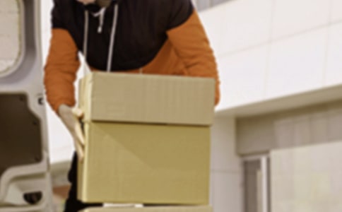 ���ְҵ���鱨��