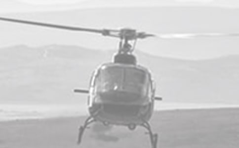 ��������ֱ֮���ɻ�����