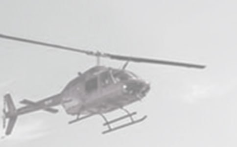 ��ֱ���ɻ����꼶���ģ���ѡ33ƪ��