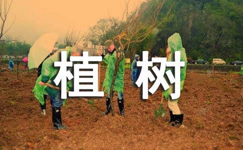 �йػ���ֲ���ı����ѡ300�䣩