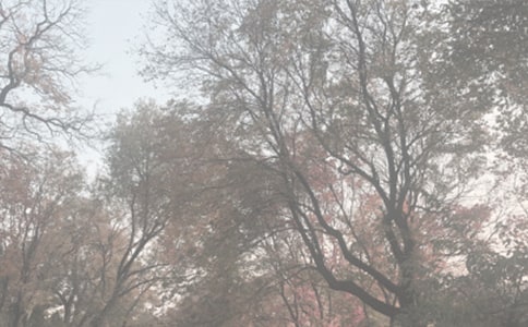 ���Ƽ�������ֲ��԰����