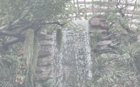 ������ֲ��԰���ĺϼ�15ƪ