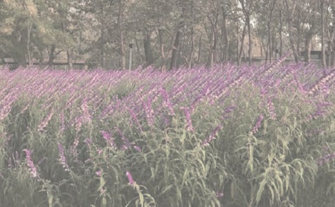 ����ֲ��԰������200��