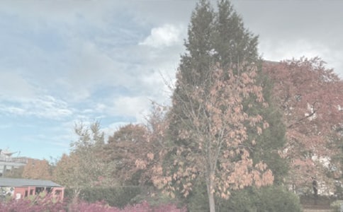 �����ֲ��԰���ģ�ͨ��27ƪ��