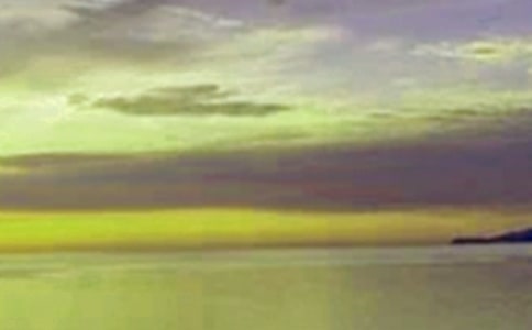 中午作文600字八篇