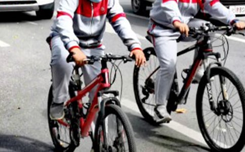 ��ѧ���ۺ���������������ƪ