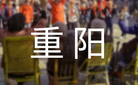 重阳敬老作文300字8篇