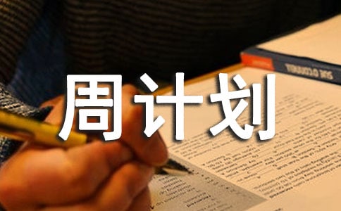 业务员一周计划表