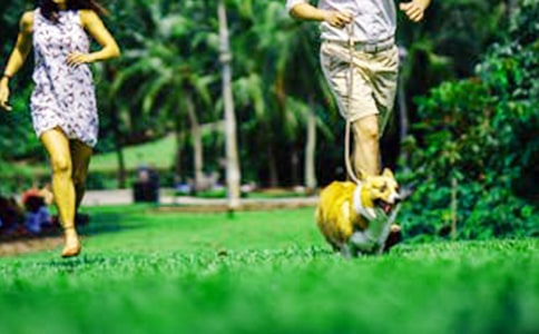 ��ĩ��ʳ���İ��̾䣨��ѡ310�䣩