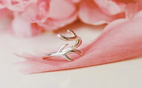 �鱦�����ܽ�