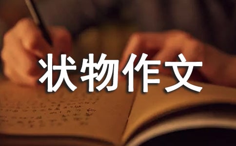我爱油菜花四年级状物作文700字(精选22篇)