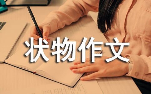 精选三年级状物作文300字合集8篇