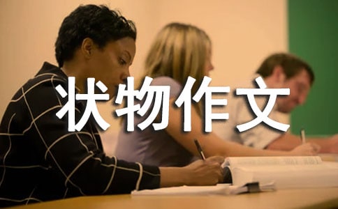 【精品】状物作文300字集锦5篇