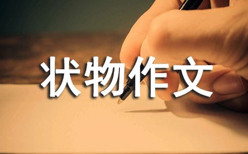 有关状物作文300字汇总5篇