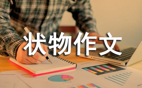 我家的小花猫五年级状物作文500字