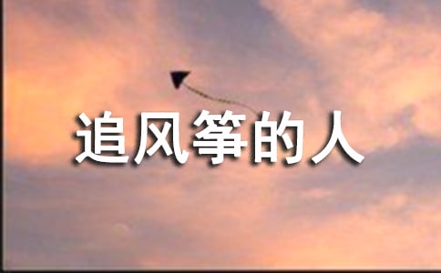 《追风筝的人》读后感作文500字