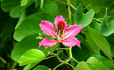 ��д�Ͼ������ģ���ѡ31ƪ��