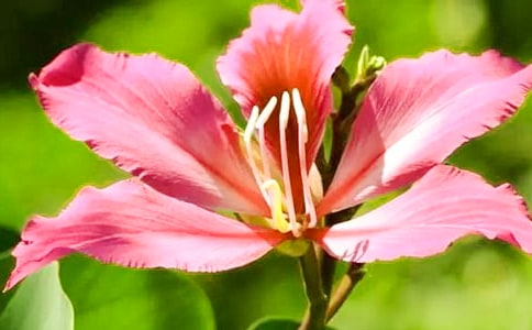 ��д�Ͼ��������ġ���ѡ��