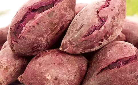 紫薯成长记作文800字