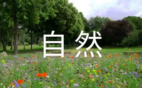 ���꼶����Ȼ�����Խ�ѧ���