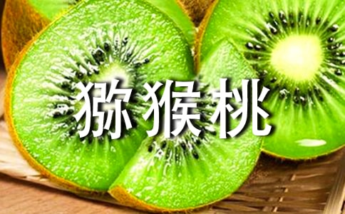 �Ұ������⨺�������