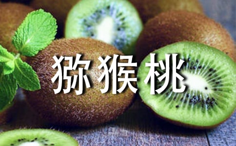 �����⨺�������(����15ƪ)