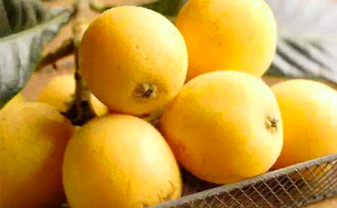 �������������ĺϼ���ƪ