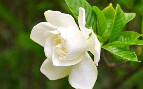 ���ӻ���������ѡ[15ƪ]