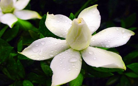 ���ӻ�����