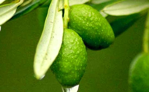 �����-1200������