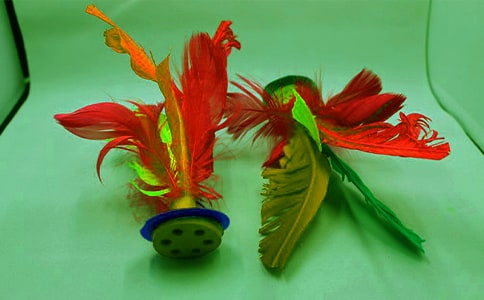 ����ѧ��Ʒ���