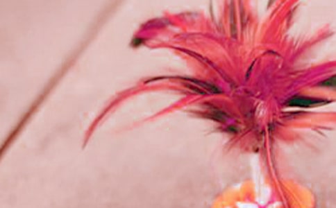 ���ʱ�䵽����