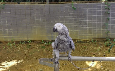 ���ϼ�����������������