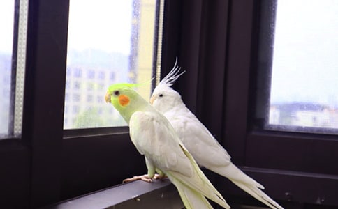 �Ҽҵ�С��������500��