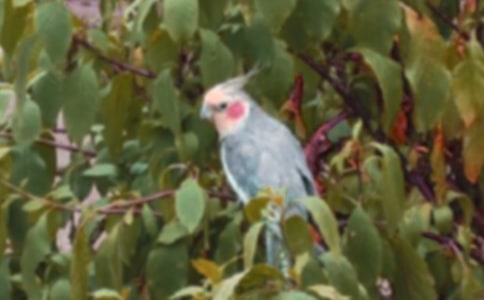 ��������600����ƪ