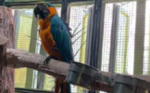 �۲컢Ƥ�������ģ�ͨ��28ƪ��