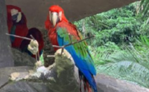 �������ĵ�����600����ƪ