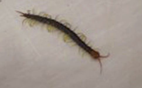 �������ʾ����400�� ��������