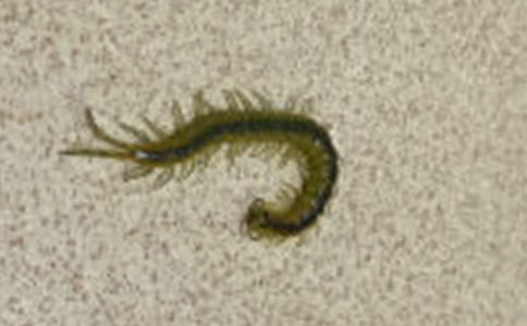 �����ɶ��������