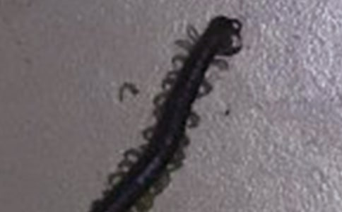 С���ͯ������