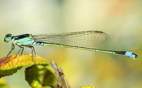 �����ѽ�ѧ��˼