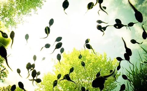 �˽̰桶С��������衷��ѧ��Ʒ���