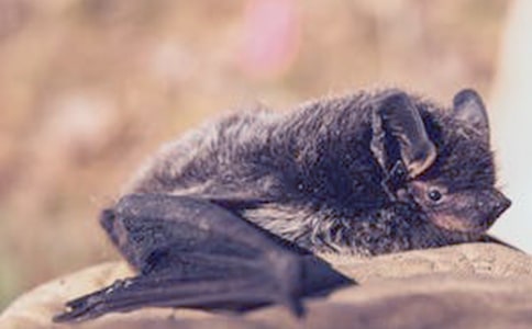 ��������״�ڶ���ʱ��ѧ���