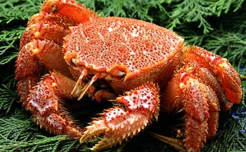 ��ѡ׽�з����500��3ƪ