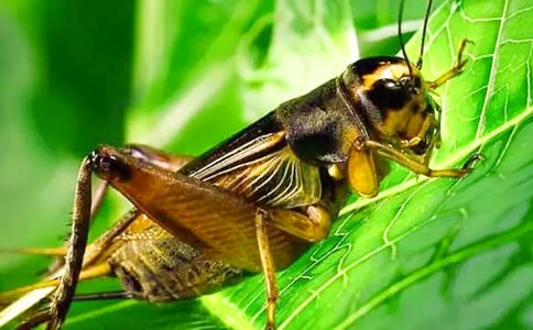 ����桶���סլ����ѧ��˼��ͨ��11ƪ��