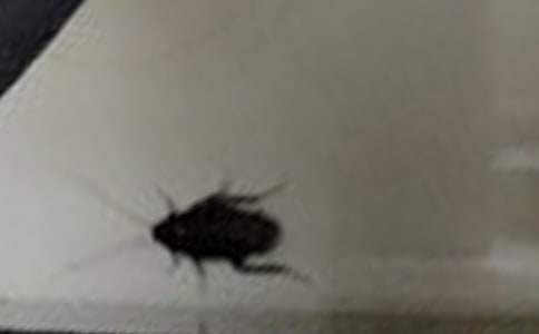 ���������300��