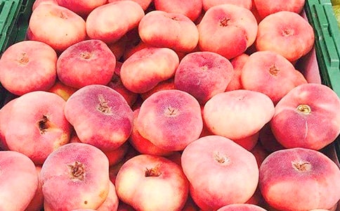 ����������һ����Ĵ�