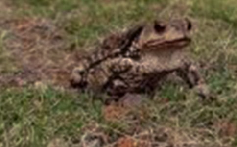 ͯ�����£��������