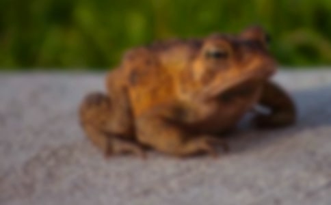 ������������꼶����400�֣�ͨ��21ƪ��