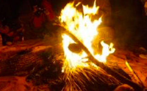 ���������������ִ�